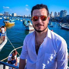 Mohamed ELsayed ELarby