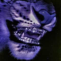 NoTimeToBleed (NTB)