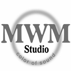 MWM-Studio Berlin - Mischa vom Ton