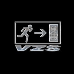 VZS