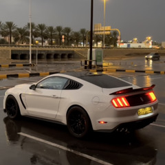 7mo0d_q8