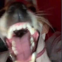 aw hell na (lil sneeze)