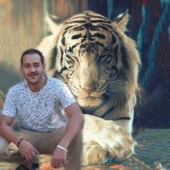 عماد مسعد
