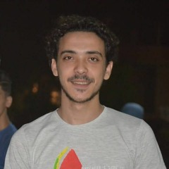 Ahmed Elghamrawy