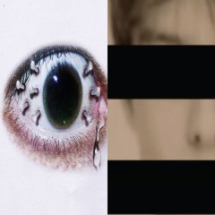 StigTypeShit