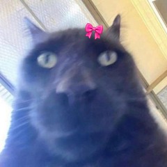 meow