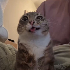 ⠀