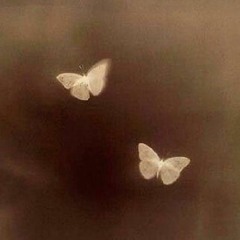 ٌ