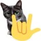 Ricky_Toften