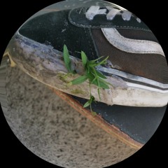 K.F.A