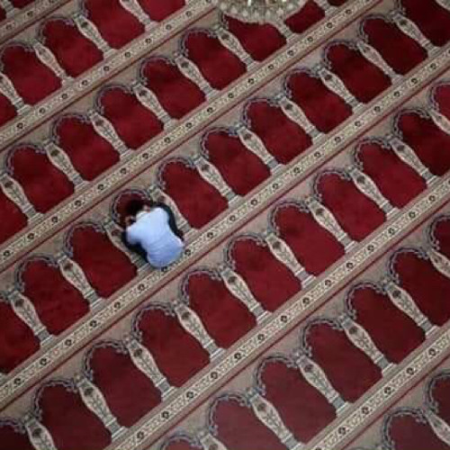 ‎القاريء الشيخ صلاح الباجي - سورة السجدة