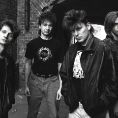 Сектор Газа