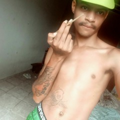 mc rick fabri