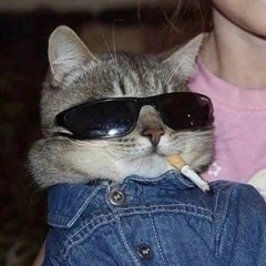 Boulah Aziz [@boulah_aziz]