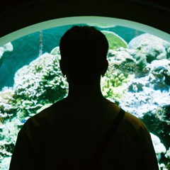 Volpe [Transcend Records]