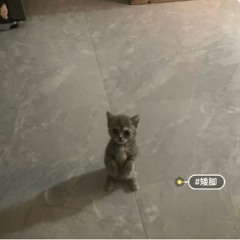 kuu!
