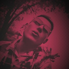 FL IP