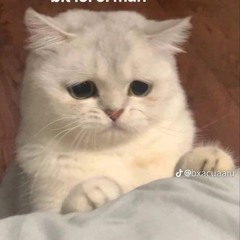 khenh_Hugg