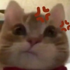 suwan