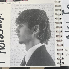 parsa foualdi