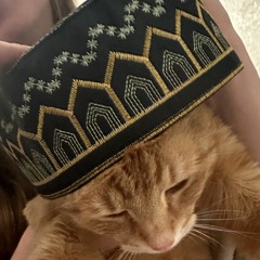 VLada👾👾👾👾