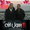 Hosny Mostafa