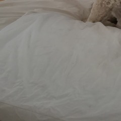 aaaEx