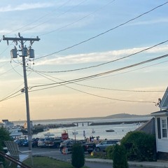 Alia Bella Sanfilippo