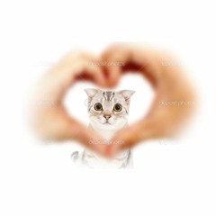 nekolover39