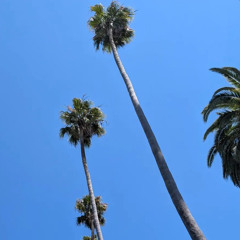 Del