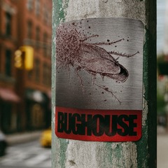 Bug House NY