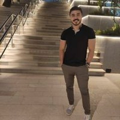 Nader E. Roshdy