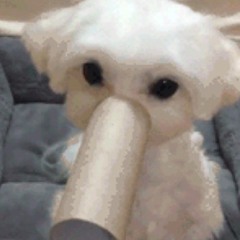 Usergaunt