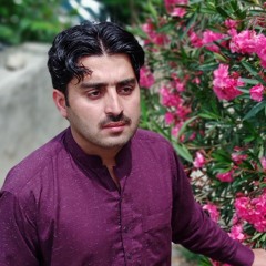 nosharwan ashna new songs 2021 kakarhi gharhi نوشیروان نیو کاکڑئ غاڑی 2021(MP3_128K).mp3