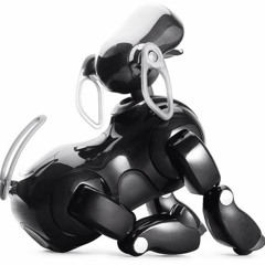 Aibo  Netnews