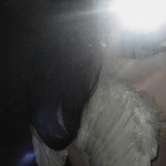 DIRTYANGEL
