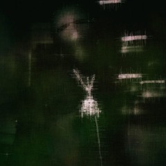 twizplug