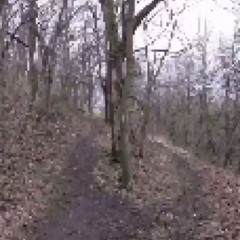 bomog