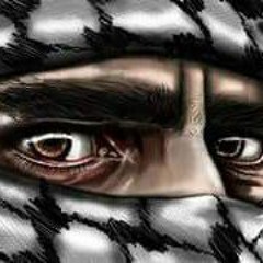 User 260731