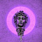 ARASH_DZ