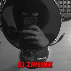 Dj Zavodnik