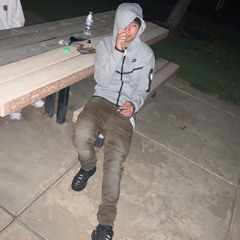 Chlnk steppa