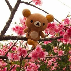 jay !!