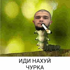 Бебра