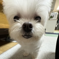 한태환