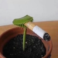 ?