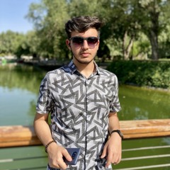 aydin