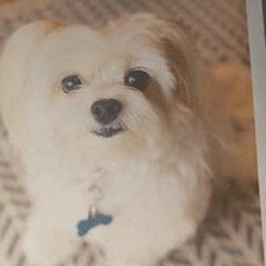 Hilda Maria Soriano Sosa