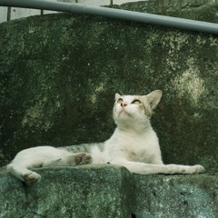 hutieukhooo