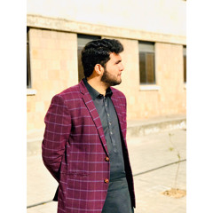 Mian Aamir